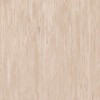Линолеум TARKETT STANDARD PLUS Standard Light Beige 0479