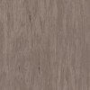 Линолеум TARKETT STANDARD PLUS Standard Dark Beige 0482