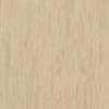 Линолеум TARKETT STANDARD PLUS Standard Light Yellow Beige 0483