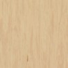 Линолеум TARKETT STANDARD PLUS Standard Sandstone 0484