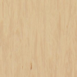 Линолеум TARKETT STANDARD PLUS Standard Sandstone 0484