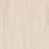 Линолеум TARKETT STANDARD PLUS Standard Sand Light 0912