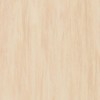 Линолеум TARKETT STANDARD PLUS Standard Sand 0913