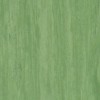 Линолеум TARKETT STANDARD PLUS Standard Dark Green 0921