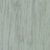 Линолеум TARKETT STANDARD PLUS Standard Pale Green 0923