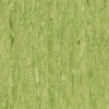 Линолеум TARKETT IQ OPTIMA Optima Green 0861