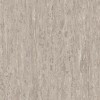 Линолеум TARKETT IQ OPTIMA Optima Cool Light Beige 0248