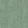 Линолеум TARKETT IQ OPTIMA Optima Dark Green 0252