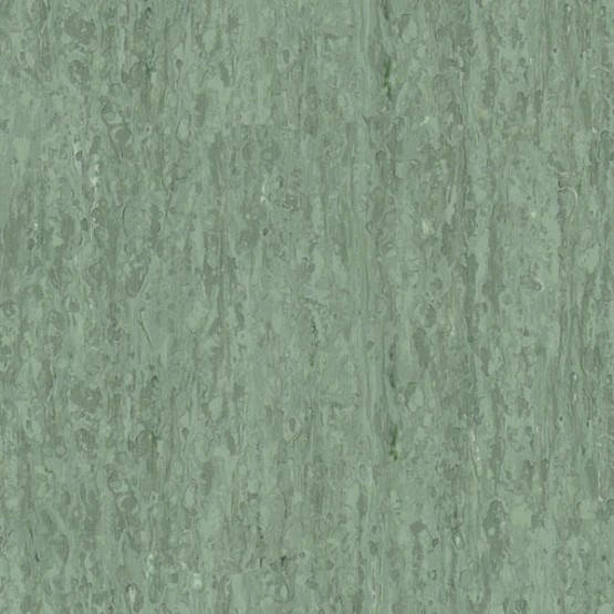 Линолеум TARKETT IQ OPTIMA Optima Dark Green 0252
