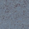 Линолеум TARKETT IQ MEGALIT Megalit Graphite Blue 0623