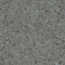 Линолеум TARKETT IQ MEGALIT Megalit Graphite Green 0624
