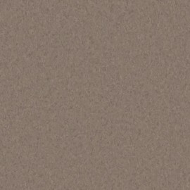 Линолеум TARKETT IQ GRANIT Granit Soft Brown 0755