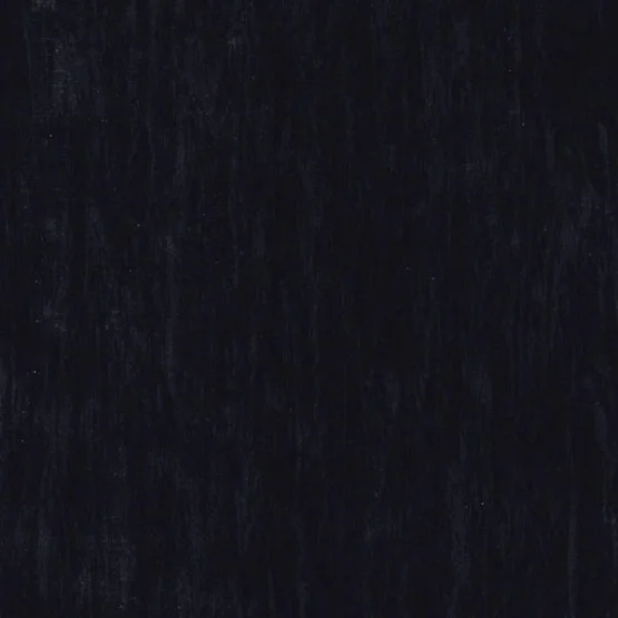 Линолеум TARKETT STANDARD PLUS Standard Black 0500