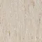 Линолеум TARKETT IQ OPTIMA Optima Light Beige 0821
