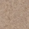 Линолеум TARKETT IQ MEGALIT Megalit Dark Sand 0610