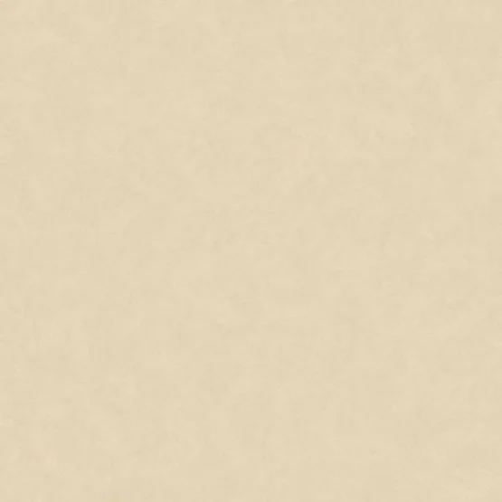 Линолеум TARKETT ACCZENT ESQUISSE Esquisse 01