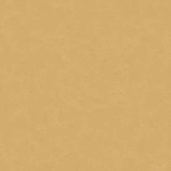 Линолеум TARKETT ACCZENT ESQUISSE Esquisse 05 Линолеум TARKETT ACCZENT ESQUISSE Esquisse 05