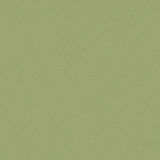 Линолеум TARKETT ACCZENT PRO Aspect 9 Линолеум TARKETT ACCZENT PRO Aspect 9