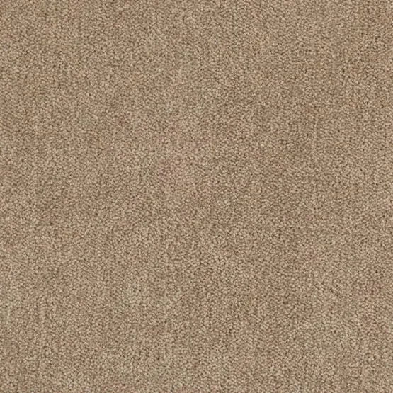 Ковролин TARKETT DRAGON Dragon 10431 Ковролин TARKETT DRAGON Dragon 10431