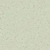 Купить Линолеум TARKETT IQ EMINENT Eminent Pale Green 0892 в Москве - 0