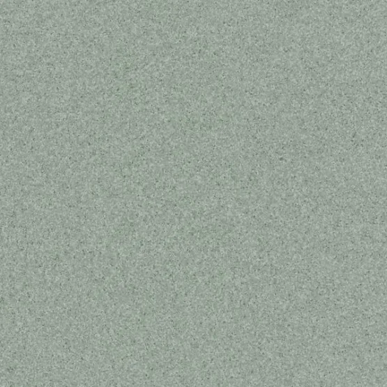 Линолеум TARKETT PRIMO PLUS Primo 311 Линолеум TARKETT PRIMO PLUS Primo 311