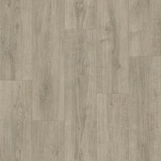 Линолеум POLYSTYL SIGMA Coventry 1